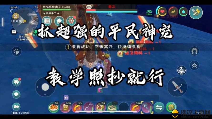 创造与魔法深度解析，辅助宠物的非凡功效及其进阶还原的奥秘探索